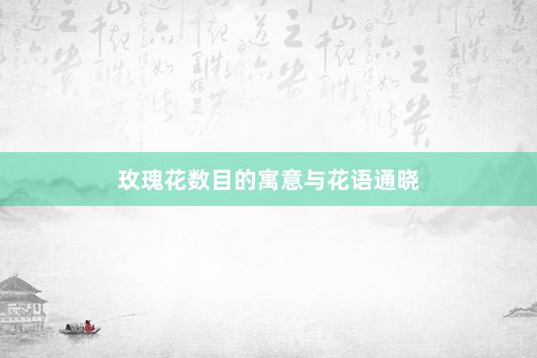 玫瑰花数目的寓意与花语通晓